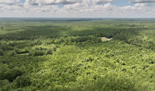 Photo #12 of SOLD property in Off Evans Farm Road, Hollister, NC 27.8 acres