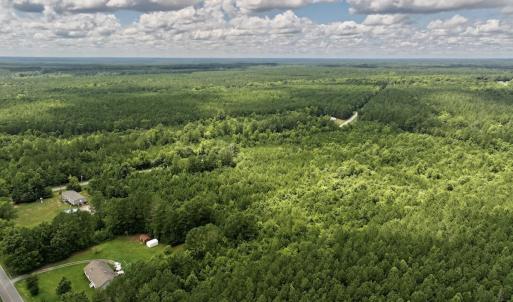 Photo #13 of SOLD property in Off Evans Farm Road, Hollister, NC 27.8 acres