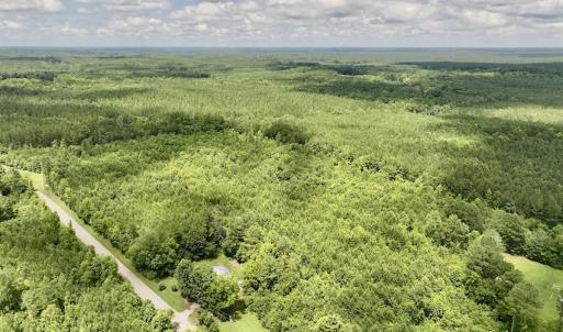 Photo #14 of SOLD property in Off Evans Farm Road, Hollister, NC 27.8 acres