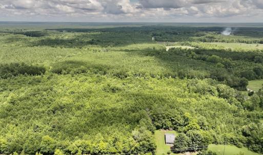 Photo #15 of SOLD property in Off Evans Farm Road, Hollister, NC 27.8 acres