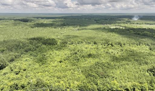 Photo #16 of SOLD property in Off Evans Farm Road, Hollister, NC 27.8 acres