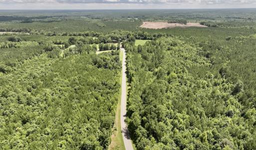 Photo #18 of SOLD property in Off Evans Farm Road, Hollister, NC 27.8 acres