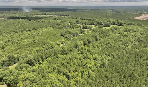 Photo #20 of SOLD property in Off Evans Farm Road, Hollister, NC 27.8 acres