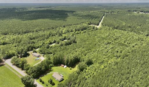Photo #5 of SOLD property in Off Evans Farm Road, Hollister, NC 27.8 acres