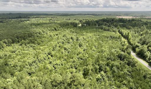 Photo #8 of SOLD property in Off Evans Farm Road, Hollister, NC 27.8 acres