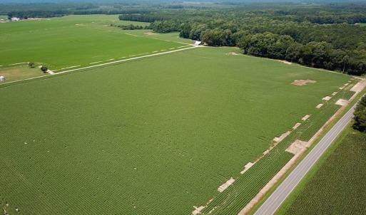 Photo #2 of SOLD property in Ivor Rd, Courtland, VA 202.0 acres