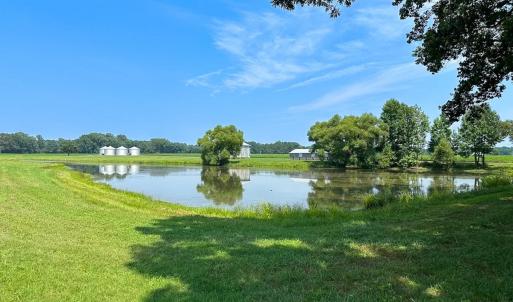 Photo #3 of SOLD property in Ivor Rd, Courtland, VA 202.0 acres