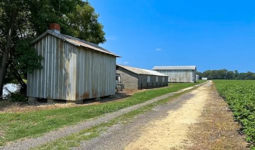 Photo #7 of SOLD property in Ivor Rd, Courtland, VA 202.0 acres