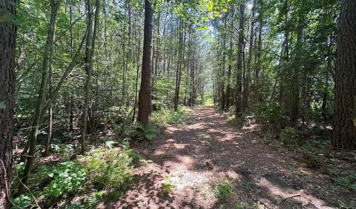 Photo #9 of SOLD property in Ivor Rd, Courtland, VA 202.0 acres