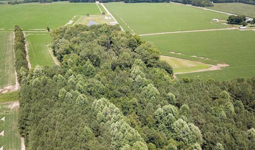 Photo #11 of SOLD property in Ivor Rd, Courtland, VA 202.0 acres