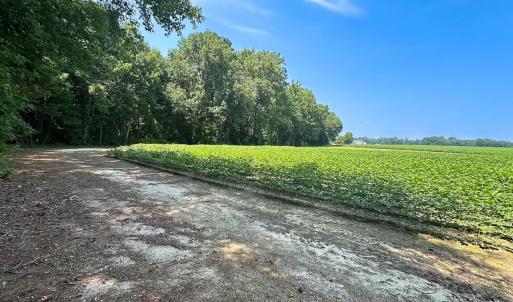 Photo #12 of SOLD property in Ivor Rd, Courtland, VA 202.0 acres