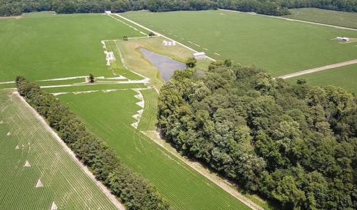 Photo #13 of SOLD property in Ivor Rd, Courtland, VA 202.0 acres