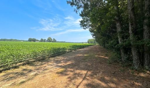 Photo #15 of SOLD property in Ivor Rd, Courtland, VA 202.0 acres