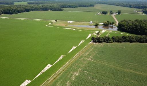 Photo #16 of SOLD property in Ivor Rd, Courtland, VA 202.0 acres