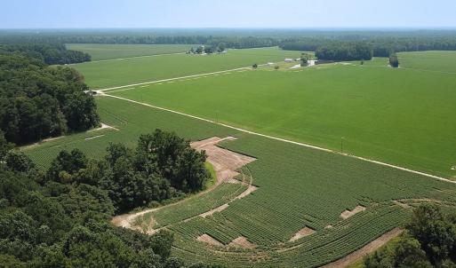 Photo #19 of SOLD property in Ivor Rd, Courtland, VA 202.0 acres