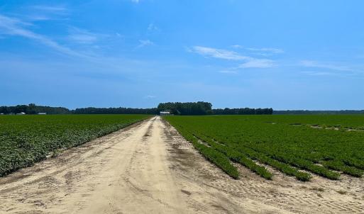Photo #20 of SOLD property in Ivor Rd, Courtland, VA 202.0 acres