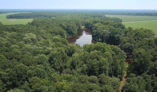 Photo #22 of SOLD property in Ivor Rd, Courtland, VA 202.0 acres