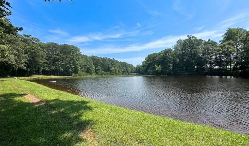 Photo #24 of SOLD property in Ivor Rd, Courtland, VA 202.0 acres
