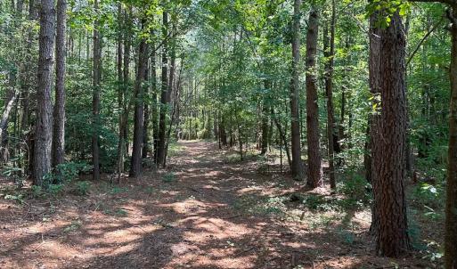 Photo #26 of SOLD property in Ivor Rd, Courtland, VA 202.0 acres