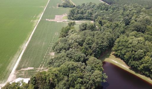 Photo #28 of SOLD property in Ivor Rd, Courtland, VA 202.0 acres