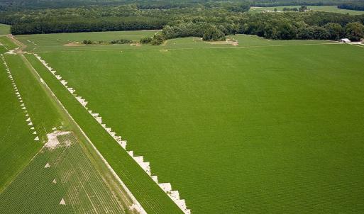 Photo #30 of SOLD property in Ivor Rd, Courtland, VA 202.0 acres