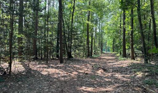 Photo #31 of SOLD property in Ivor Rd, Courtland, VA 202.0 acres