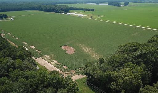 Photo #33 of SOLD property in Ivor Rd, Courtland, VA 202.0 acres
