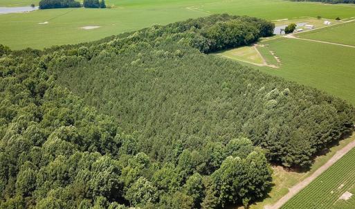 Photo #36 of SOLD property in Ivor Rd, Courtland, VA 202.0 acres