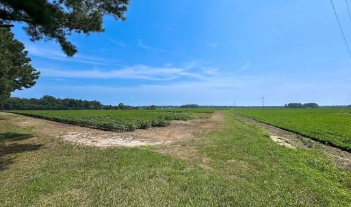 Photo #42 of SOLD property in Ivor Rd, Courtland, VA 202.0 acres