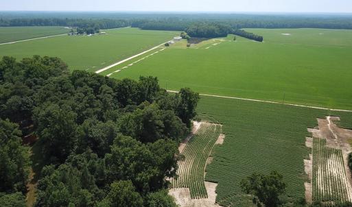 Photo #43 of SOLD property in Ivor Rd, Courtland, VA 202.0 acres