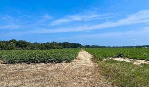 Photo #44 of SOLD property in Ivor Rd, Courtland, VA 202.0 acres