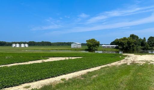 Photo #47 of SOLD property in Ivor Rd, Courtland, VA 202.0 acres