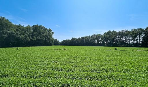 Photo #48 of SOLD property in Ivor Rd, Courtland, VA 202.0 acres