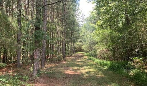 Photo #47 of SOLD property in 30503 Camp Parkway, Courtland, VA 77.2 acres