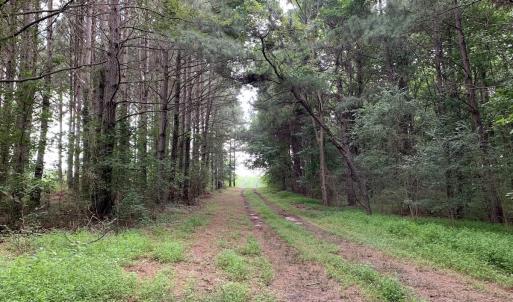 Photo #49 of SOLD property in 30503 Camp Parkway, Courtland, VA 77.2 acres