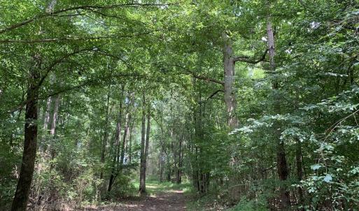 Photo #50 of SOLD property in 30503 Camp Parkway, Courtland, VA 77.2 acres