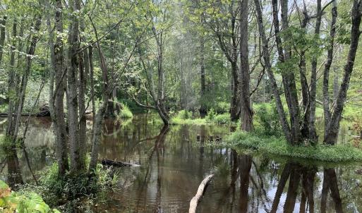 Photo #53 of SOLD property in 30503 Camp Parkway, Courtland, VA 77.2 acres