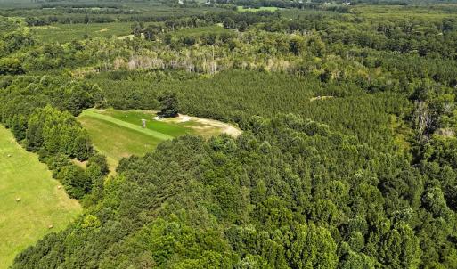 Photo #54 of SOLD property in 30503 Camp Parkway, Courtland, VA 77.2 acres