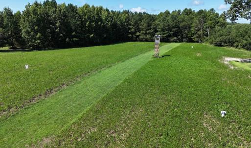 Photo #56 of SOLD property in 30503 Camp Parkway, Courtland, VA 77.2 acres