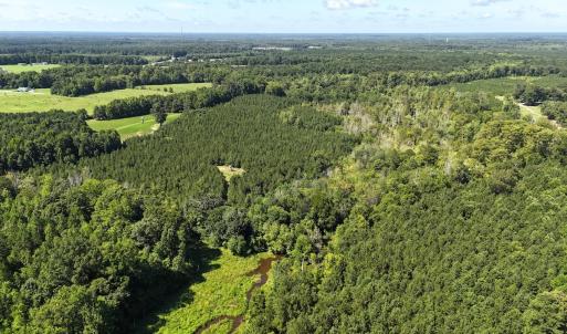 Photo #58 of SOLD property in 30503 Camp Parkway, Courtland, VA 77.2 acres