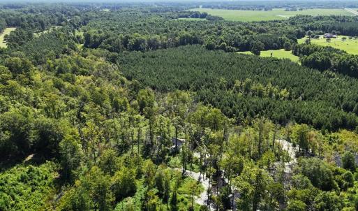 Photo #59 of SOLD property in 30503 Camp Parkway, Courtland, VA 77.2 acres
