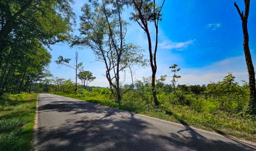 Photo #3 of SOLD property in Off Salem Church Road, King George, VA 87.0 acres