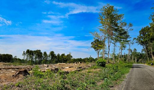 Photo #5 of SOLD property in Off Salem Church Road, King George, VA 87.0 acres