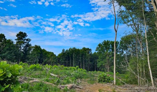 Photo #10 of SOLD property in Off Salem Church Road, King George, VA 87.0 acres