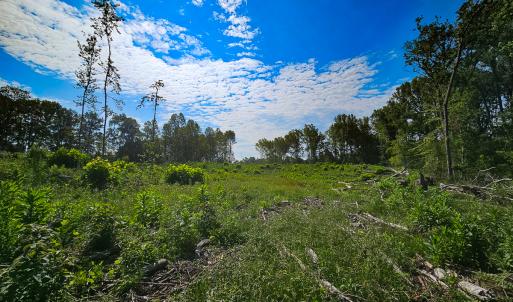 Photo #14 of SOLD property in Off Salem Church Road, King George, VA 87.0 acres