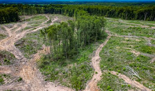 Photo #25 of SOLD property in Off Salem Church Road, King George, VA 87.0 acres