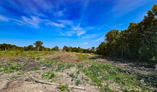 Photo #26 of SOLD property in Off Salem Church Road, King George, VA 87.0 acres