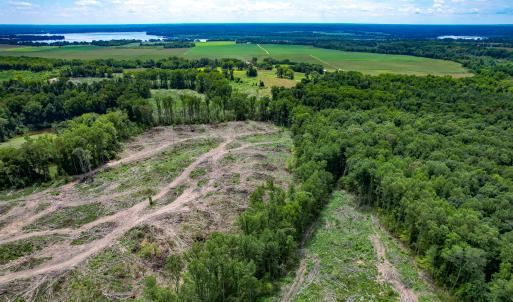 Photo #27 of SOLD property in Off Salem Church Road, King George, VA 87.0 acres