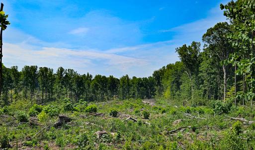 Photo #28 of SOLD property in Off Salem Church Road, King George, VA 87.0 acres