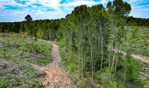 Photo #29 of SOLD property in Off Salem Church Road, King George, VA 87.0 acres